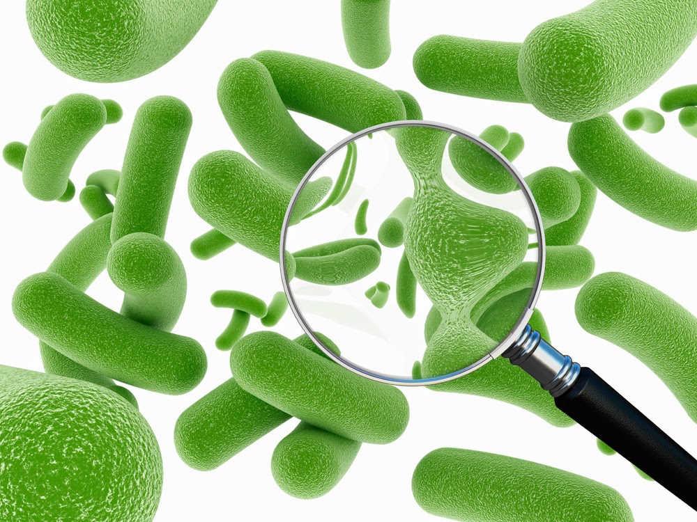 Prebiotiká vs. probiotiká 